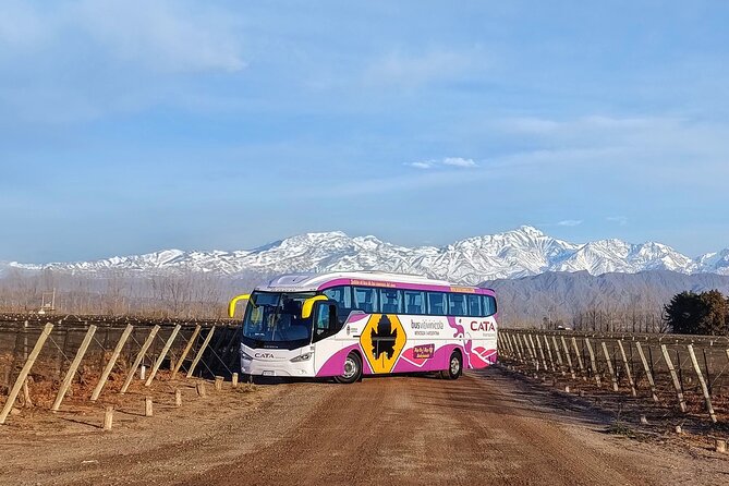 Mendoza Hop-On Hop-Off Wine Tour - Should you book it?