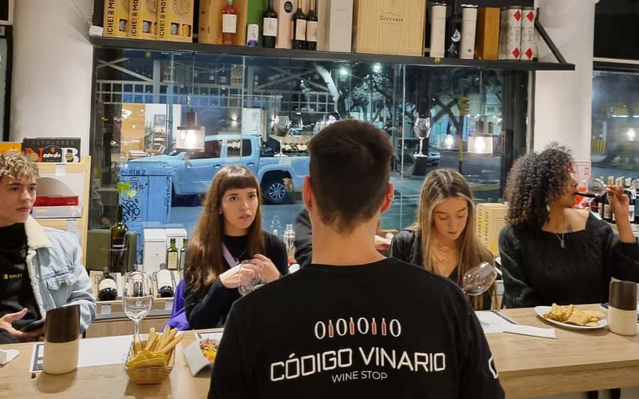 Mendoza: Premium Wine Tasting - Key points to know
