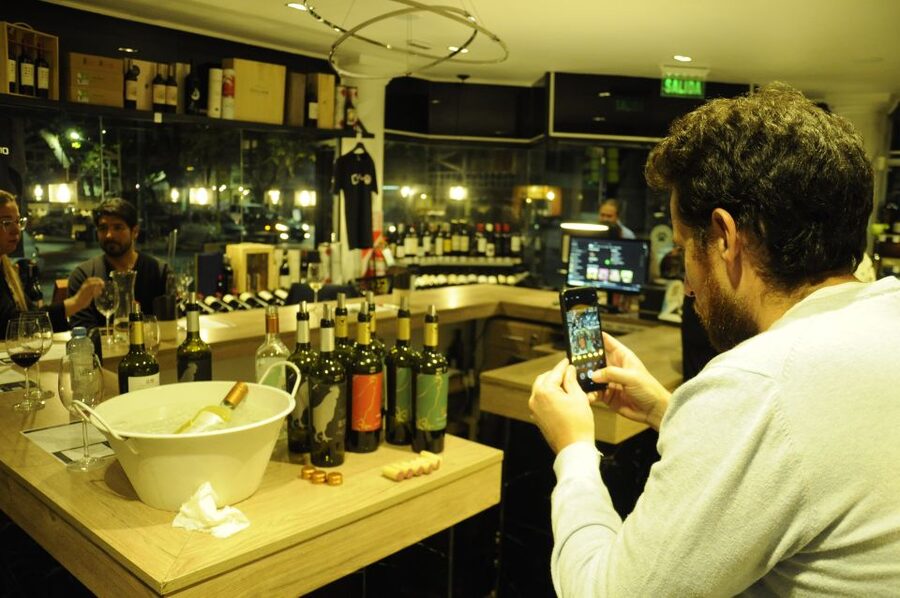 Mendoza: Premium Wine Tasting - Three red varieties and boutique producers
