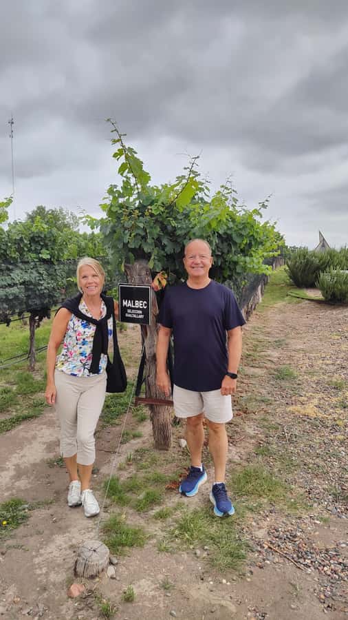 Mendoza: Top Wineries Guided Tour with Transportation - A full wine day built around contrast