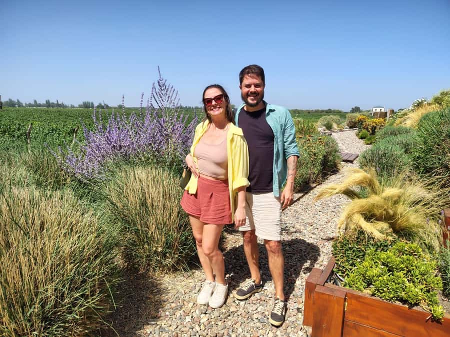 Mendoza: Top Wineries Guided Tour with Transportation - Choosing between Luján de Cuyo and the Uco Valley