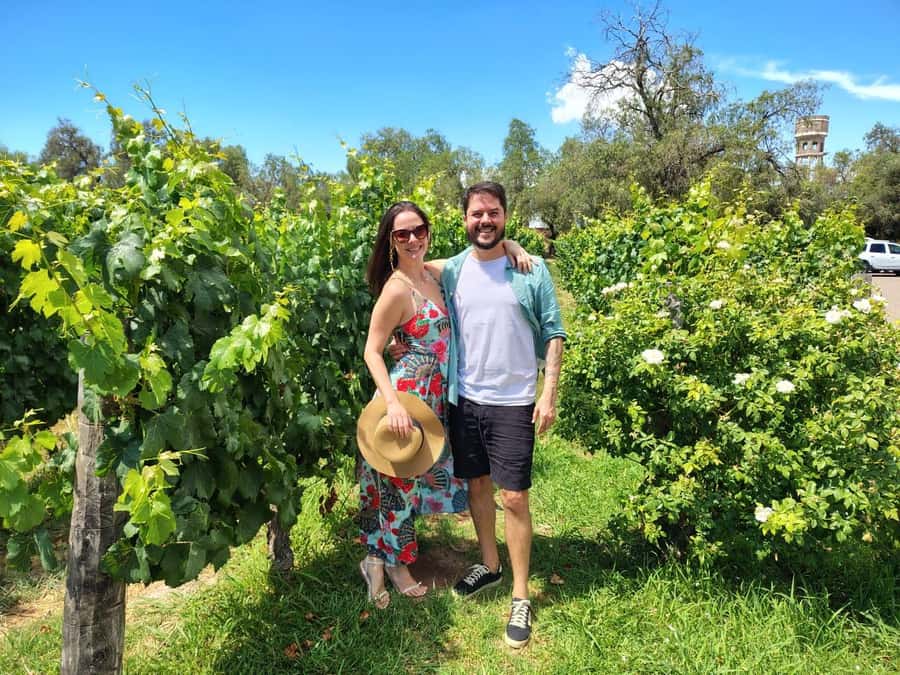Mendoza: Top Wineries Guided Tour with Transportation - The vehicle and the value of a private driver