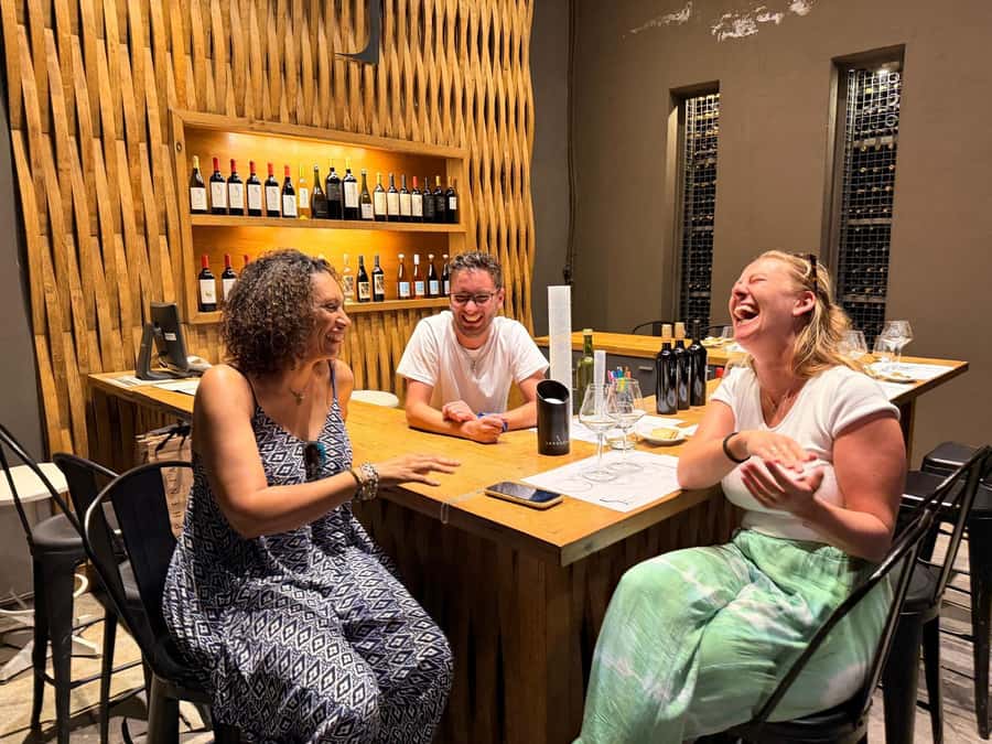 Mendoza: Top Wineries Guided Tour with Transportation - Who will enjoy this day most