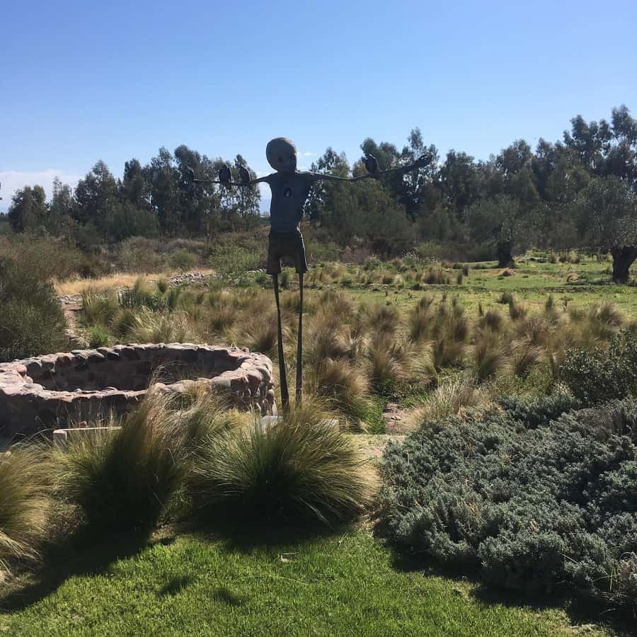 Mendoza: Wine Tasting Tour with Lunch and Private Transport - Final decision: an easy, well-rounded wine day