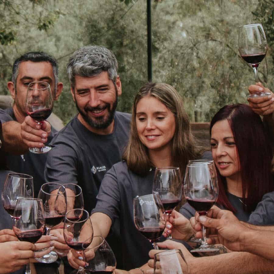 Mendoza: Wine Tasting Tour with Lunch and Private Transport - Why this Mendoza wine day works well