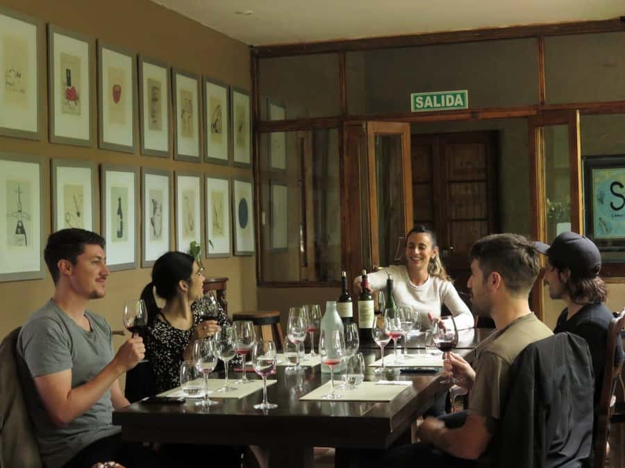 Mendoza: Wine Tasting Tour with Lunch and Private Transport - First tasting: learn how Mendoza makes its wine