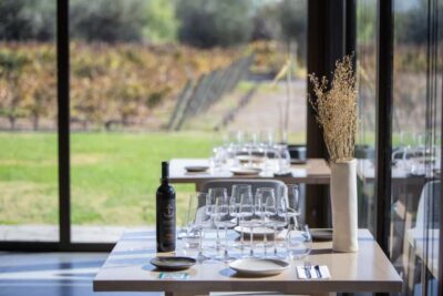 Wine Tasting Tour with Lunch and Private Transport