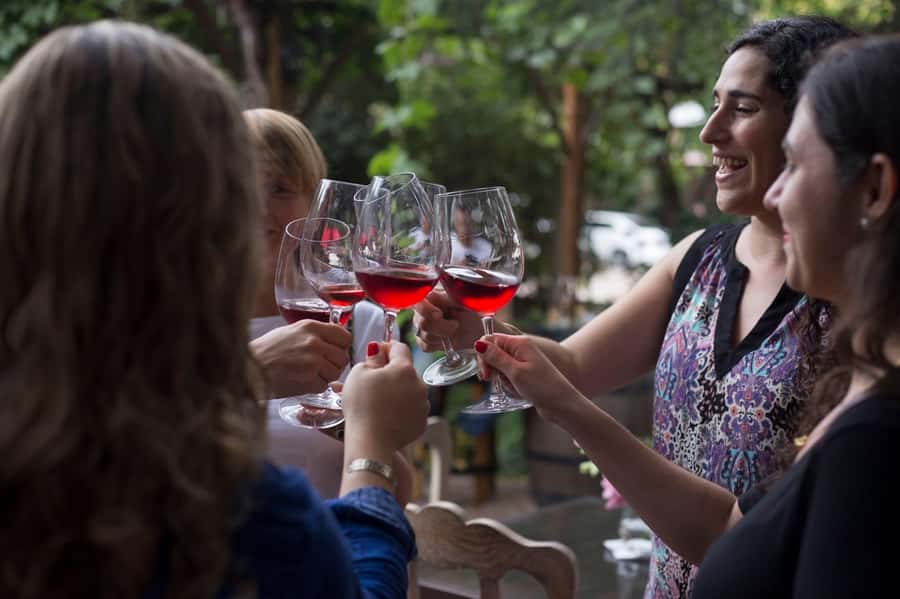 Mendoza: Wine Tasting Tour with Lunch and Private Transport - Lunch at a third winery takes 2.5 hours