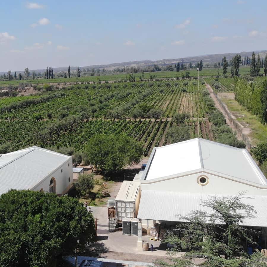 Mendoza: Wine Tasting Tour with Lunch and Private Transport - Andes views and the feel of the countryside