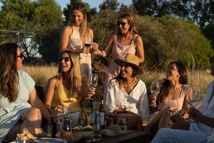 Mendoza: Wine Tasting Tour with Lunch and Private Transport - What $220 buys you