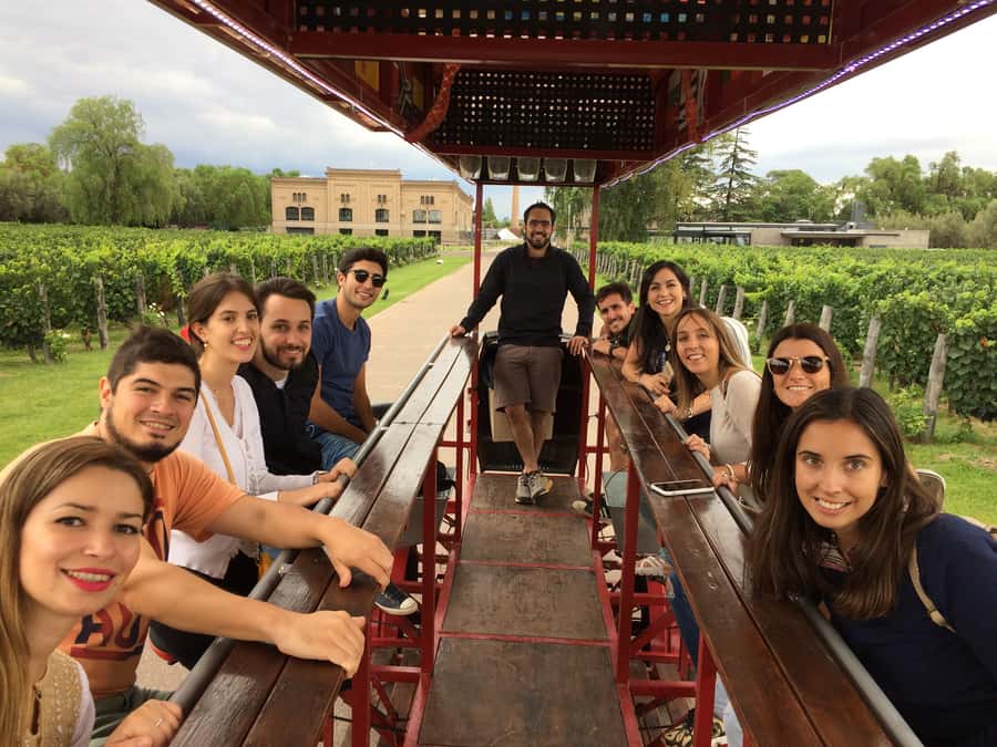 Mendoza: Winebike Tasting Tour with Optional Lunch - Key points at a glance