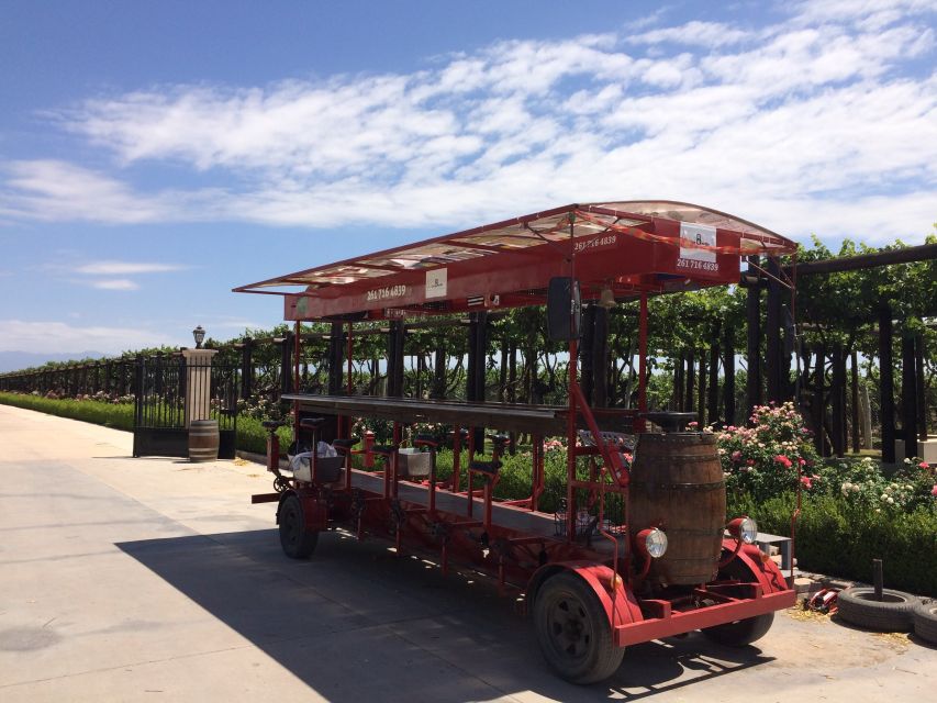 Mendoza: Winebike Tasting Tour with Optional Lunch - Finca el Pino: the optional lunch decision
