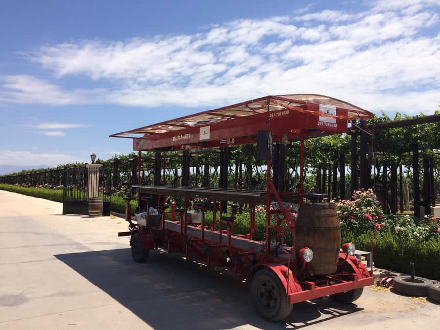 Mendoza: Winebike Tasting Tour with Optional Lunch - Pedaling through vineyards on the multi-bike