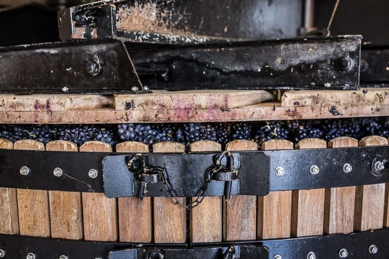 Meunier Champagne Experience tour - Passy-Grigny - Key points at a glance