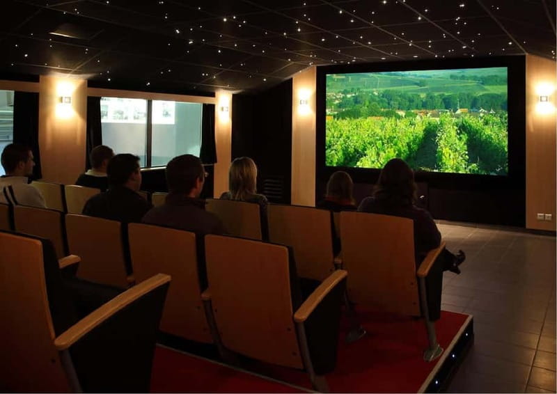 Meunier Champagne Experience tour - Passy-Grigny - A 75-minute tour with a clear storyline