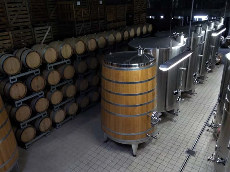 Meunier Champagne Experience tour - Passy-Grigny - The short film and outdoor walk