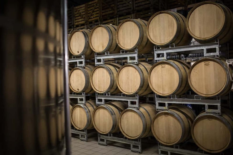 Meunier Champagne Experience tour - Passy-Grigny - Who will enjoy this Champagne visit