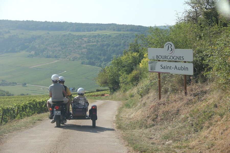 Meursault: Tour of the Vineyards on Motorbike with Sidecar - Blagny, Gamay, and Saint-Aubin by quiet back roads