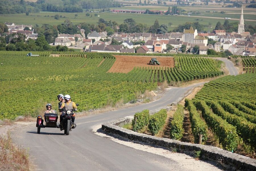 Meursault: Tour of the Vineyards on Motorbike with Sidecar - What Gilles adds to the hour
