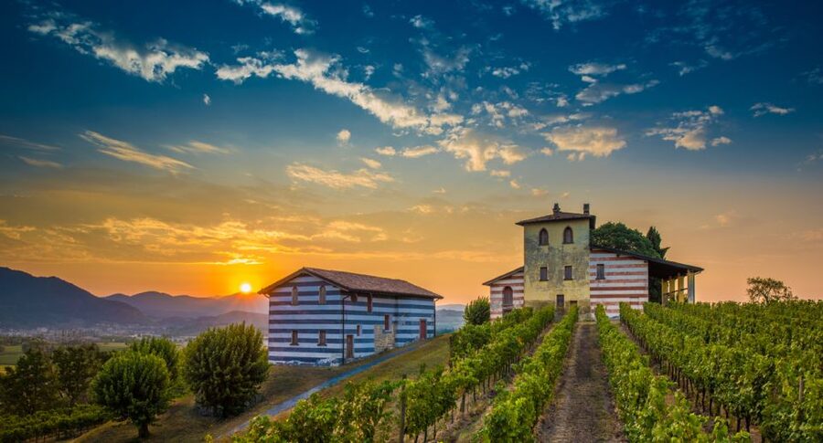 Milan: Franciacorta Winery and Bergamo Day Trip with Lunch - Key points to know before booking