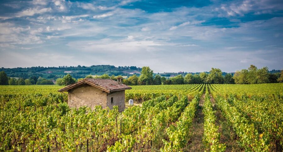 Milan: Franciacorta Winery and Bergamo Day Trip with Lunch - Why this Milan day trip works