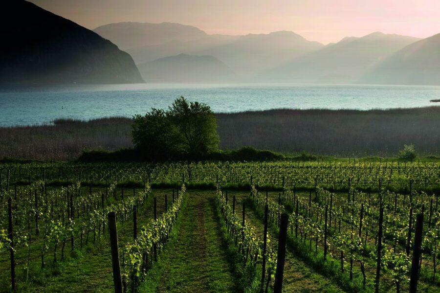 Milan: Franciacorta Winery and Bergamo Day Trip with Lunch - Following the Franciacorta Wine Route