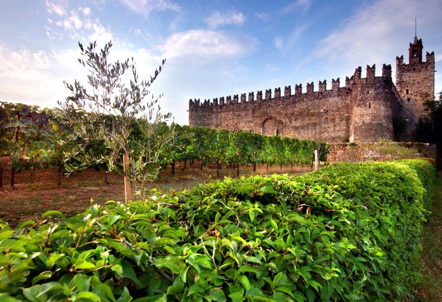 Milan: Franciacorta Winery and Bergamo Day Trip with Lunch - Who will enjoy this day most