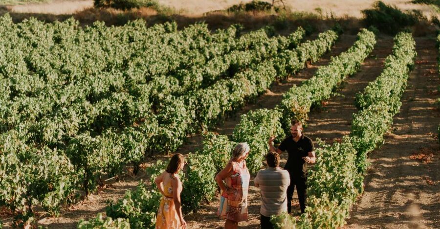 Milos Island: Kostantakis Winery Wine Tasting Experience - Cheese, olives, and a generous snack plate