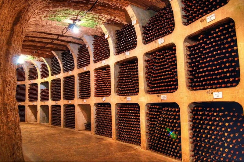 Moldova: Wine Tour to Mileștii Mici Cellar with Tasting - What the 55 minute tasting includes