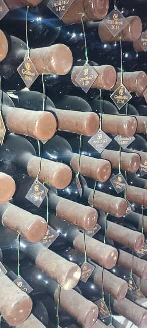Moldova: Wine Tour to Mileștii Mici Cellar with Tasting - Who will enjoy this half-day outing