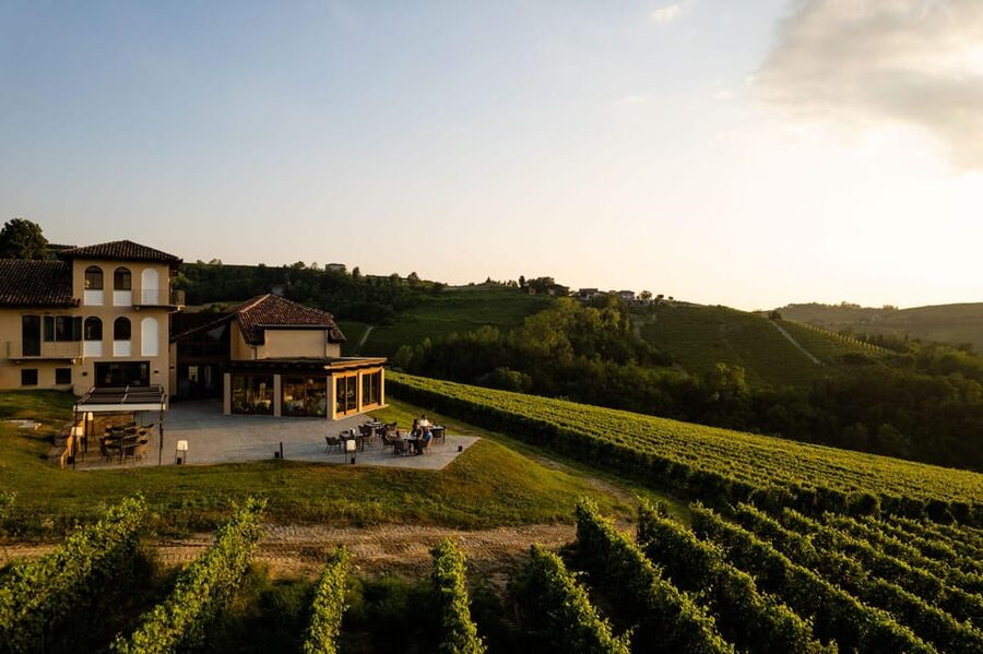 Monforte d'Alba: Barolo Tasting, Vineyard & Cellar Visit - Why this Barolo visit works well