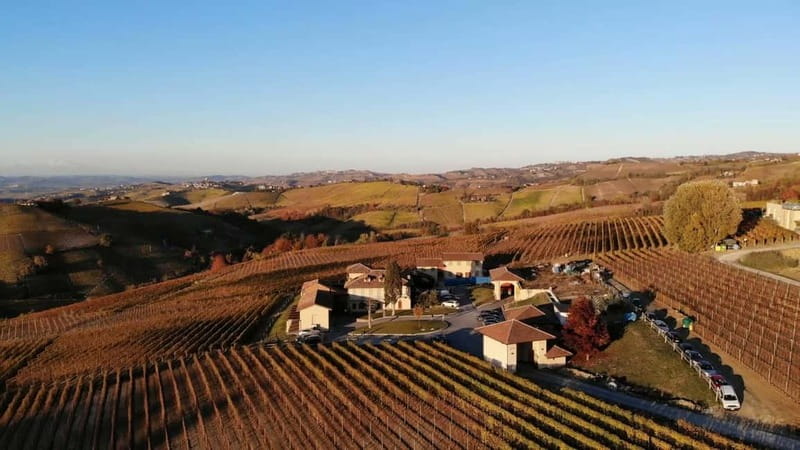 Monforte d'Alba: Wine Tasting, Cellar Visit, and Vineyard Tour - Who should book this winery experience