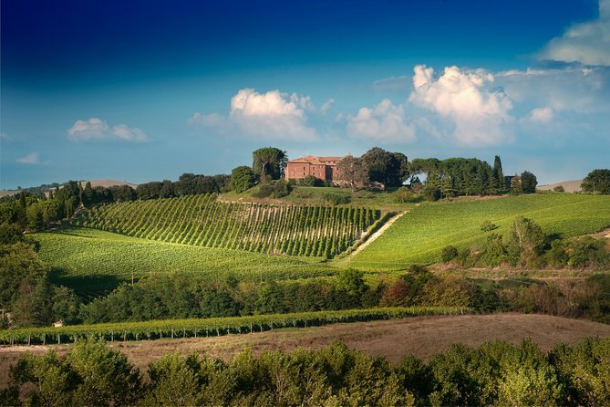 Montalcino: Brunello Wine Tasting Experience - What the sommelier adds