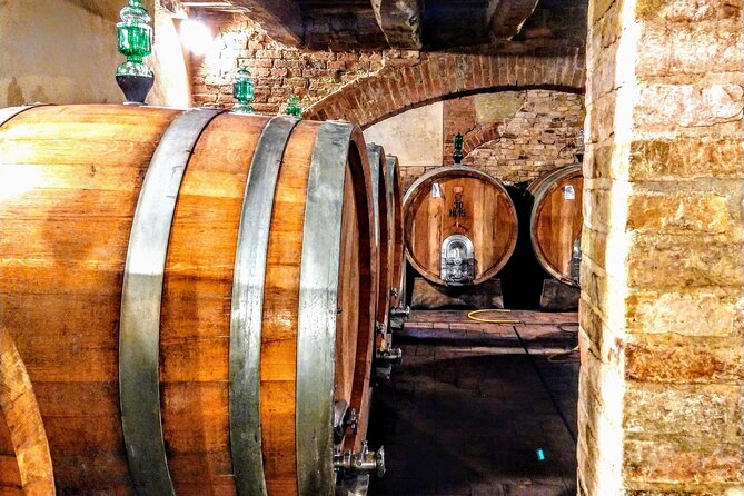 Montalcino: Brunello Wine Tasting & Lunch in a Tuscan Castle - Walking the vines with a sommelier