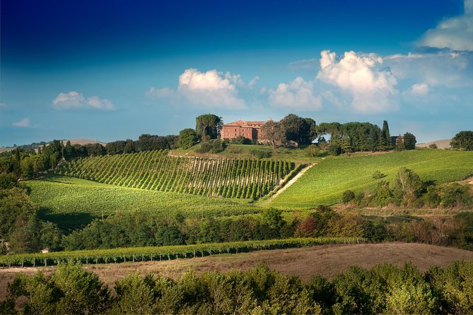 Montalcino: Castle and Vineyards Tour with Tasting - Why this castle tour is different from a standard winery visit