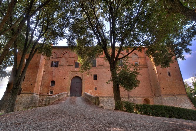 Montalcino: Castle and Vineyards Tour with Tasting - The three-wine tasting in the historic courtyard