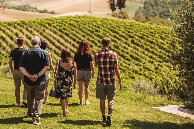Montalcino: Castle and Vineyards Tour with Tasting - Walking the castle walls and courtyards