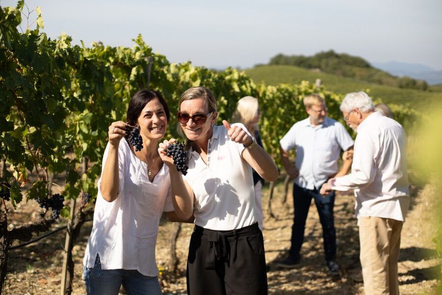 Montalcino: Guided Winery Tour and Wine Tasting - Seeing the grape-processing area up close