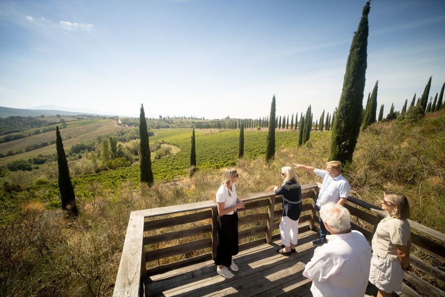 Montalcino: Guided Winery Tour and Wine Tasting - The one-hour walk from vines to cellar