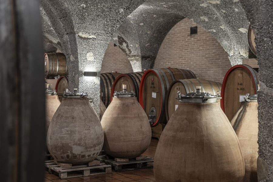 Montalcino: Guided Winery Tour & Gourmet Food Tasting - Who will enjoy this wine experience most?