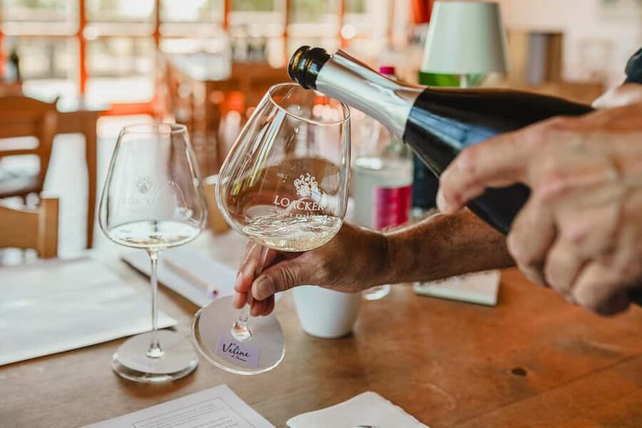 Montalcino: Guided Winery Tour & Gourmet Food Tasting - Six gourmet bites, served as wine pairings