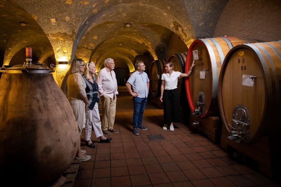 Montalcino: Guided Winery Tour & Gourmet Food Tasting - Is $94 a fair price?