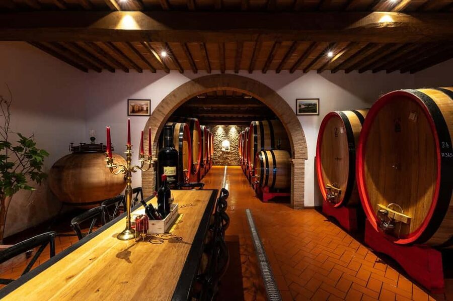 Montalcino: Premium Wine Tasting with light-lunch and Tour - Starting with the vineyards and grape harvest