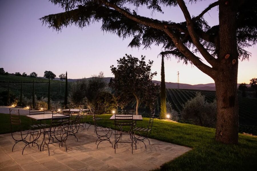 Montalcino: Premium Wine Tasting with light-lunch and Tour - What the $105 price really covers