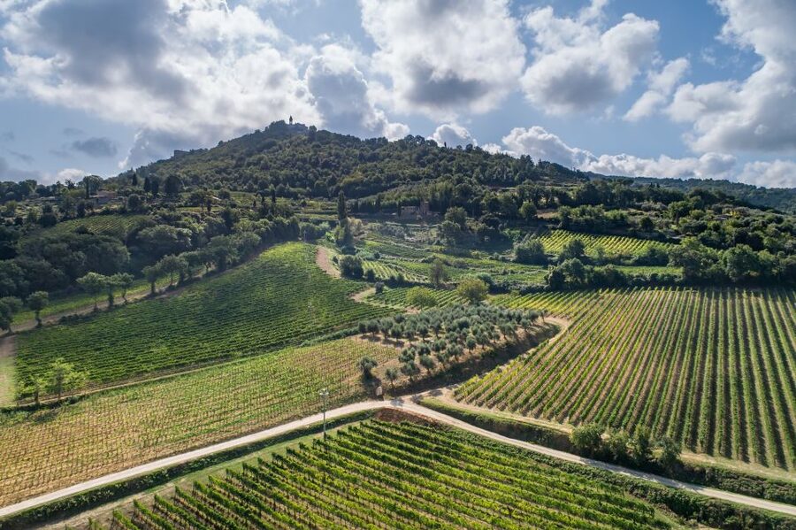 Montalcino: Private Cellar Tour, Wine Tasting & Appetizers - Arriving at Paradiso di Cacuci in northwestern Montalcino