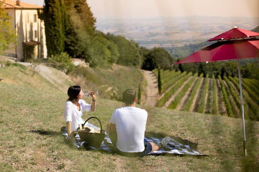 Montalcino: Vineyard Picnic with a Bottle of Wine - At a glance