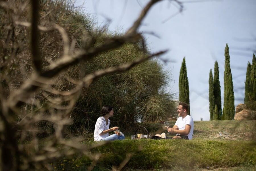 Montalcino: Vineyard Picnic with a Bottle of Wine - The optional one-hour vineyard and cellar tour