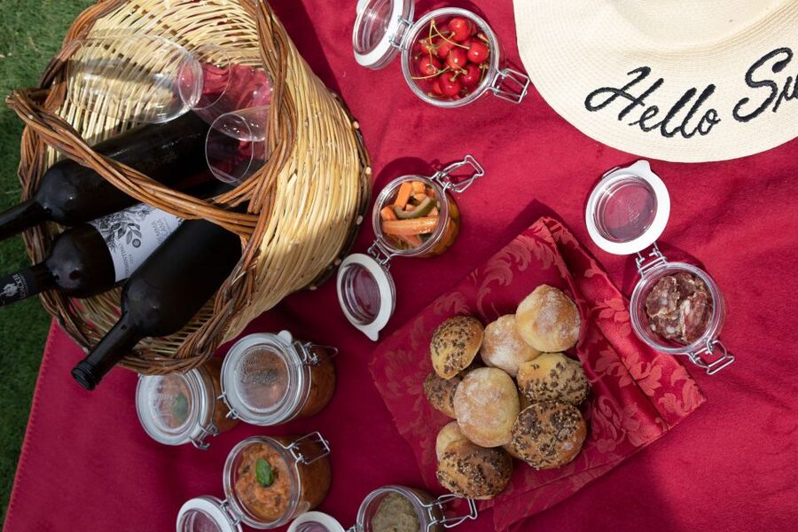 Montalcino: Vineyard Picnic with a Bottle of Wine - Is $47 a fair price?
