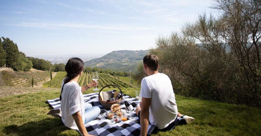Montalcino: Vineyard Picnic with a Bottle of Wine - Who will enjoy this most