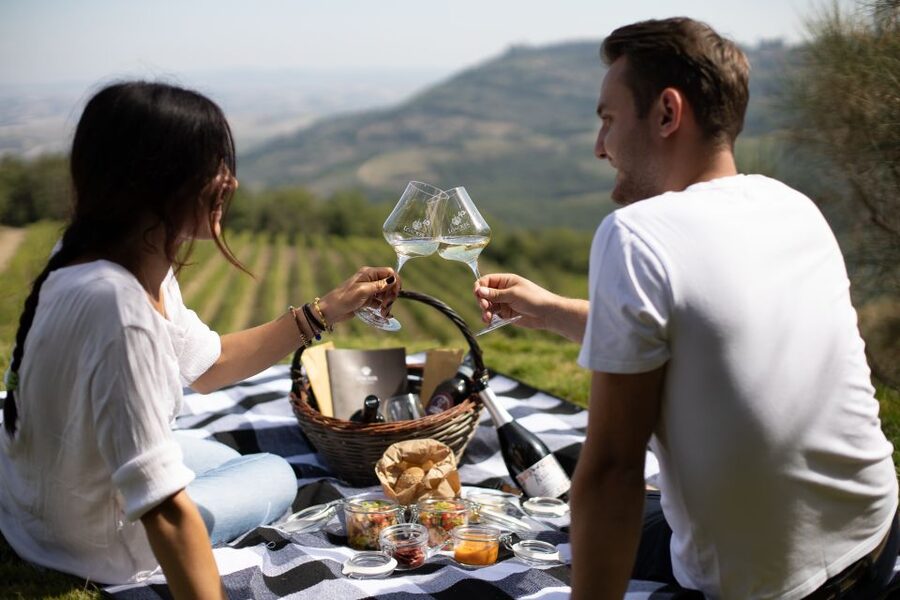 Montalcino: Vineyard Picnic with a Bottle of Wine - Arriving at Corte Pavone Winery